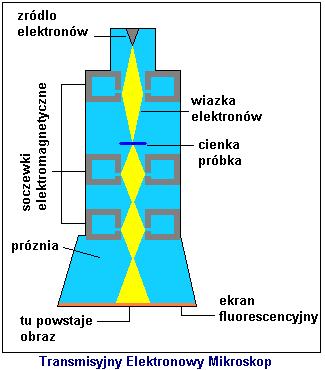 Budowa i działanie TEM działo elektronowe (podstawy mechaniki kwantowej dot.
