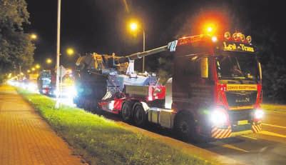 asystent randek belgijskich