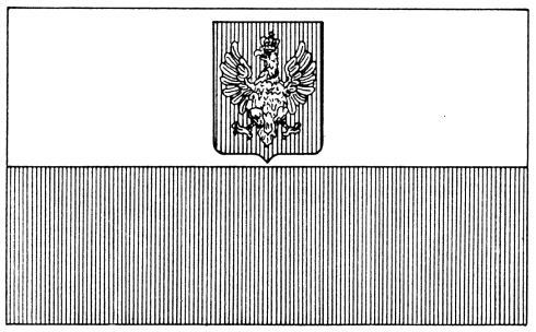 Pomińmy w niniejszych rozważaniach genezę i historyczne uwarunkowania ustanowienia tychże dwóch flag a jest to sprawa bardzo ciekawa i znana nielicznym znawcom polskiej weksylologii - gdyż