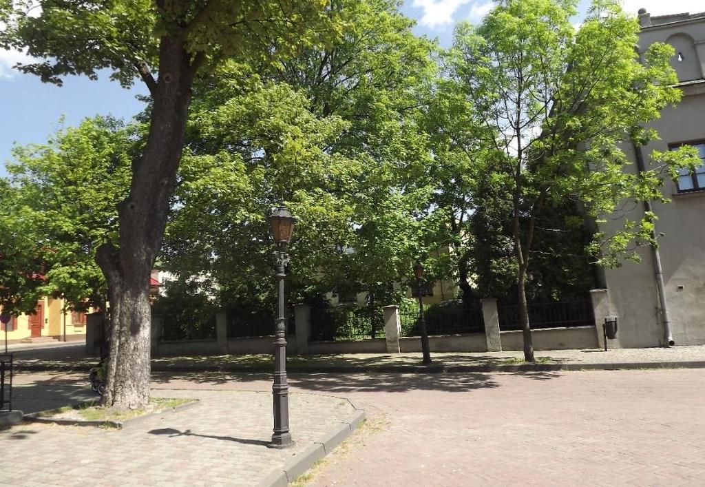 Zamek Kazimierzowski (obecnie siedziba Muzeum