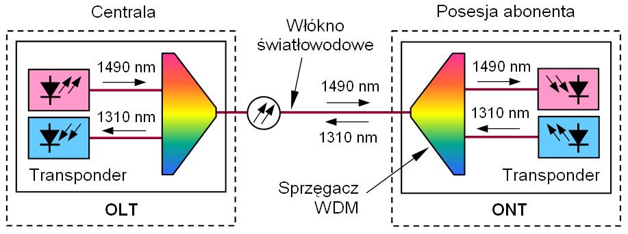 Technologie dla NGA: FTTH P2P Przyłącze tworzy jedno nie rozgałęzione włókno światłowodowe Urządzenia aktywne: Ethernet 100 Mbit/s lub 1 Gbit/s Włókno światłowodowe: jednomodowe, zgodne z zaleceniem
