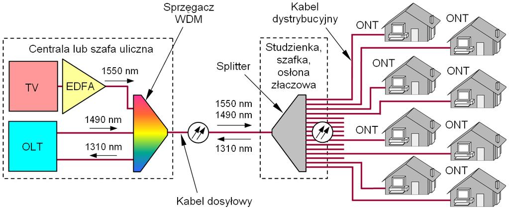 Technologie dla NGA: FTTH PON Włókno dosyłowe wychodzące z OLT rozgałęzione przez sprzęgacz (splitter) na 8 256 włókien dystrybucyjnych do abonentów Urządzenia aktywne: szereg standardów IEEE i ITU-T