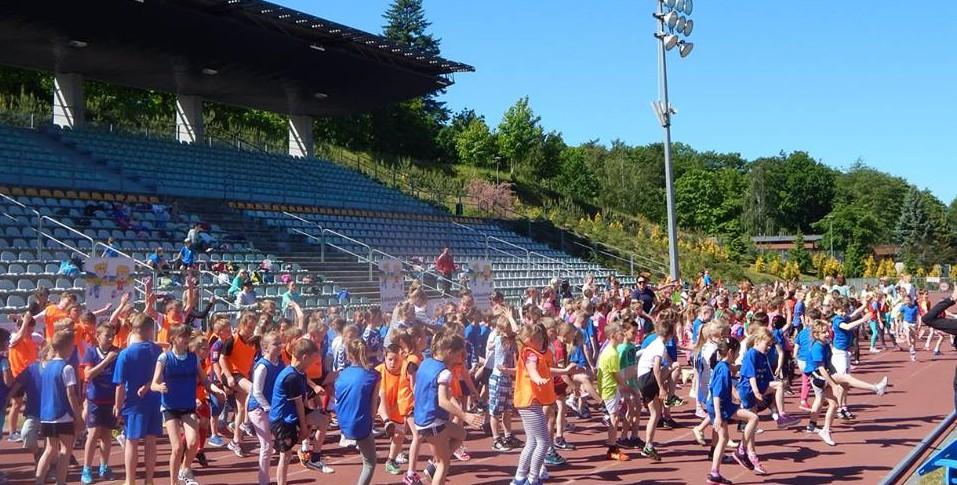Czerwiec 2015 / Pospolite ruszenie, czyli.