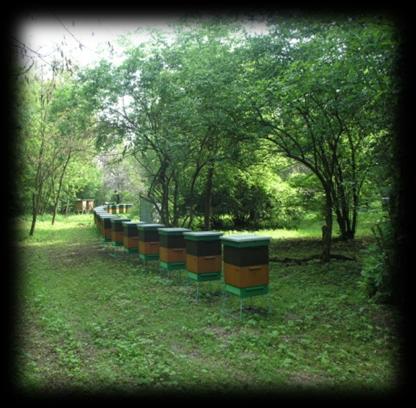 24-100 Puławy www.