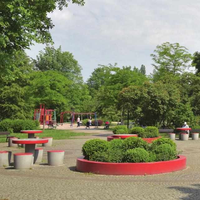 (polny, zwyzjny, jwor, srerzysty)