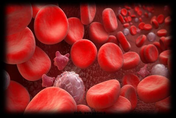 Erytrocyty zawierają białko hemoglobinę, która jest nośnikiem tlenu, ciężar hemoglobiny to ok.