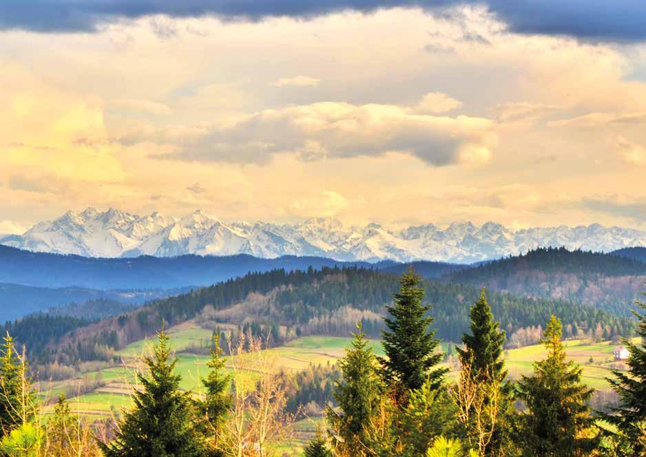 Panorama Tatr z