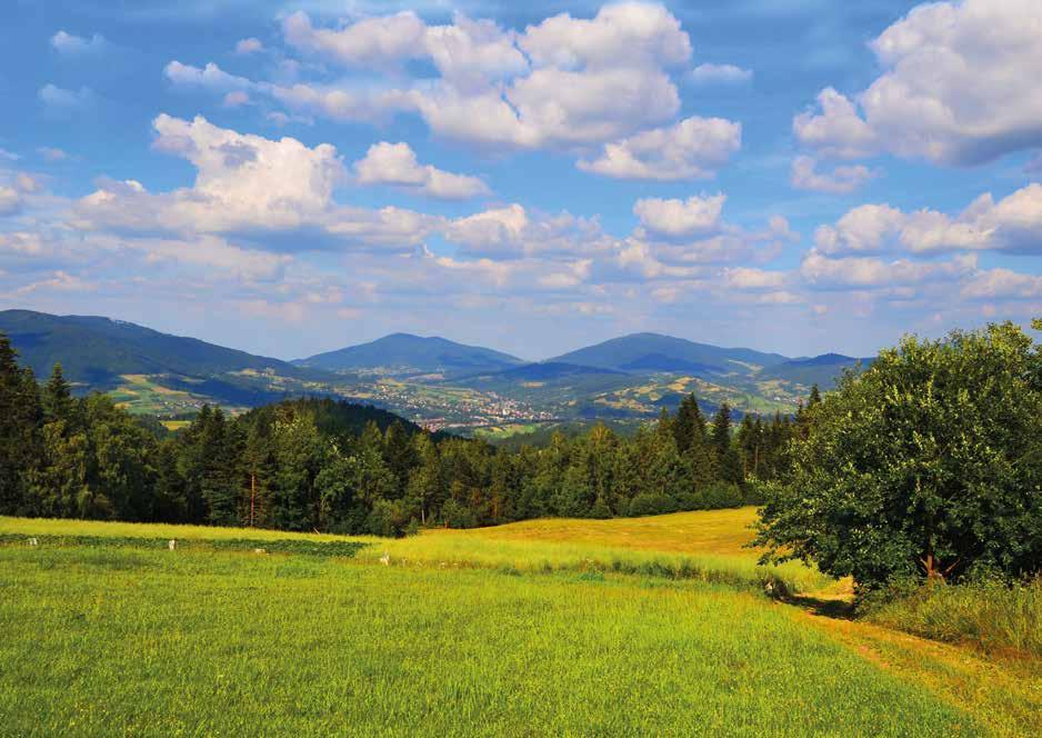 Ostoja