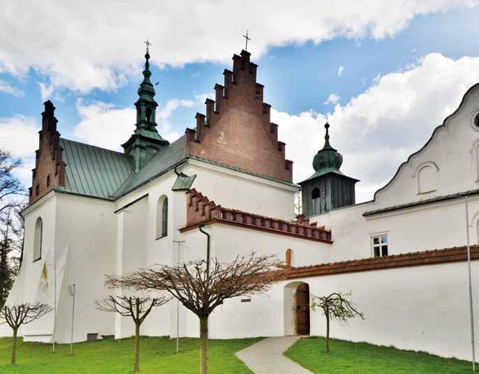 Podkowiec mały Jodłownik Laskowa MSZANA DOLNA