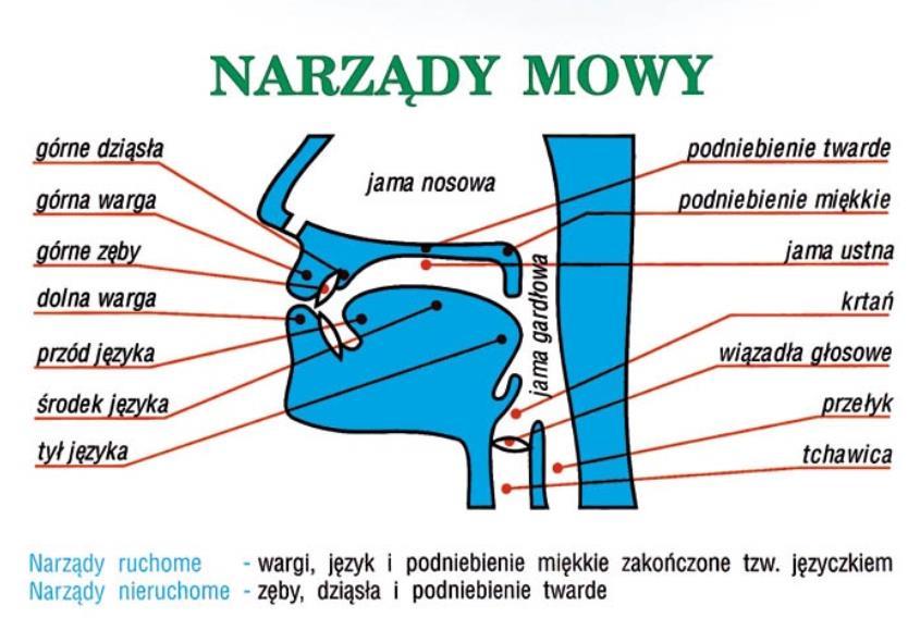 Fonetyczna gra klasowa Utrwalenie wiadomości Klasa jest podzielona na grupy 4-osobowe. Każda grupa otrzymuje kolejne zadania do wykonania. Uczniowie rozwiązują je pojedynczo.