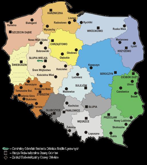 Badania rozpoznawcze