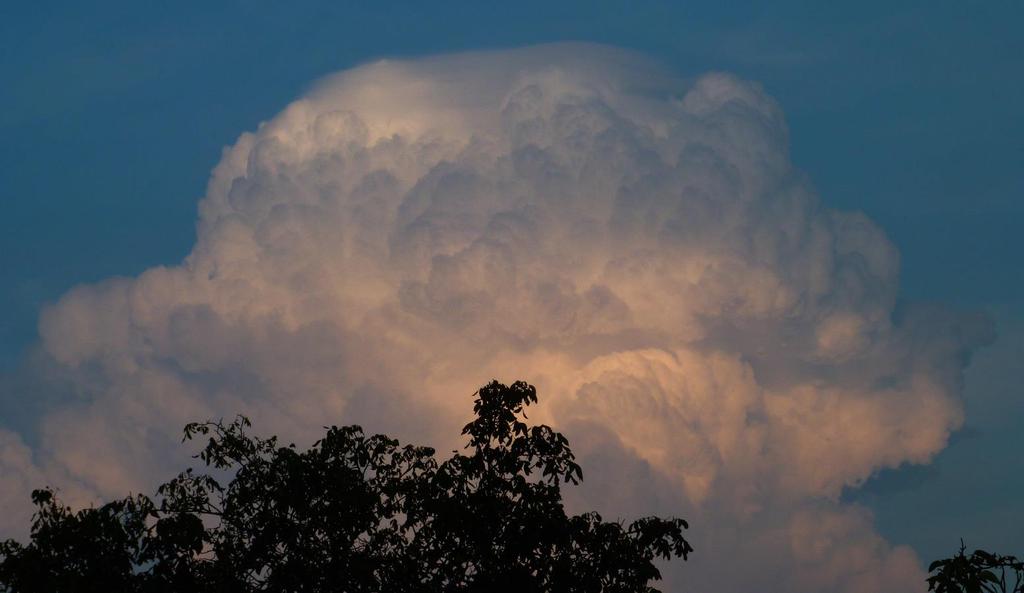 Pileus Jest to spłaszczona, rozmazana forma chmur składająca się z kryształów lodu. Incus Kowadło burzowe, jest to górna część chmury Cumulonimbus capillatus.