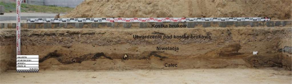 Czwarty obiekt był wyeksplorowaną już w pierwszym etapie badań jamą grobową nr 8.