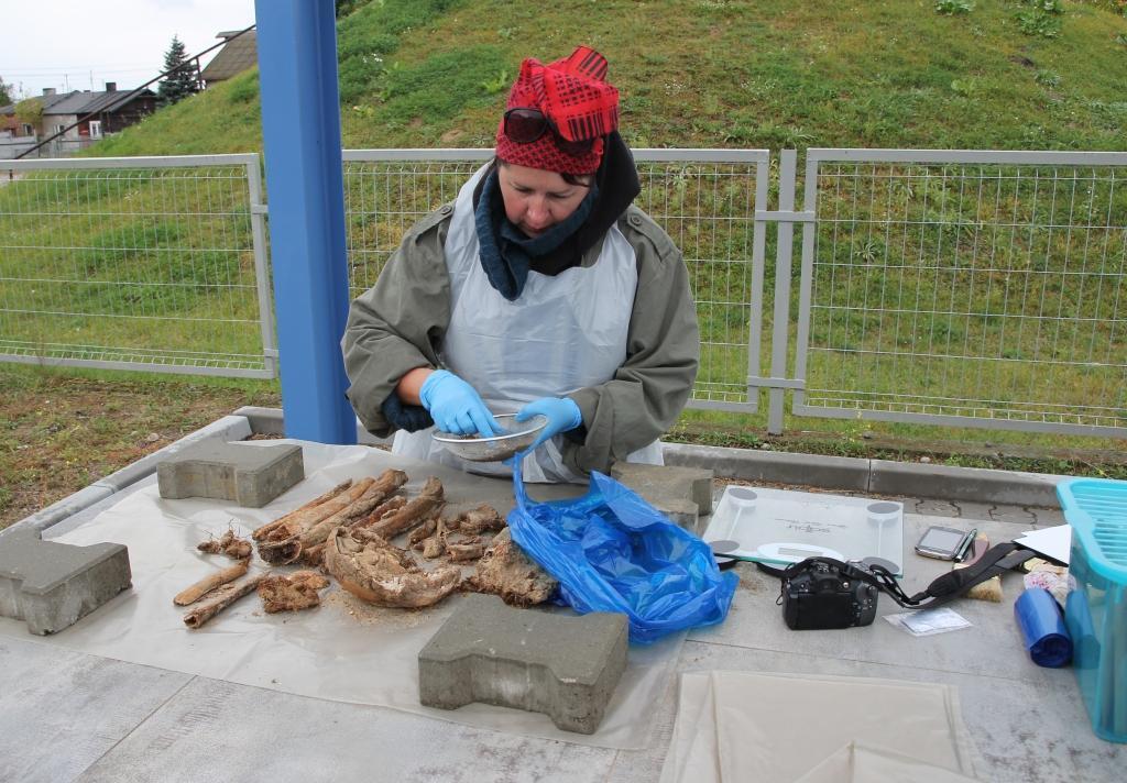W trakcie drugiego etapu badań antropolog bezpośrednio uczestniczył w pracach wykopaliskowych i materiał kostny opracowywany był na miejscu.