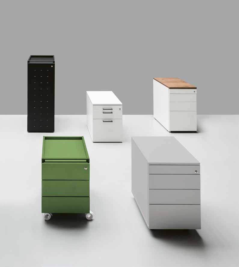 Balma Katalog