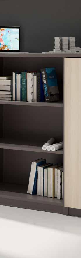 Balma Katalog / Catalogue Cechy kolekcji Features and characteristics Ergonomiczny i ekonomiczny system szaf do wnętrz biurowych. Dowolność łączenia różnych kolorów korpusu i frontów.