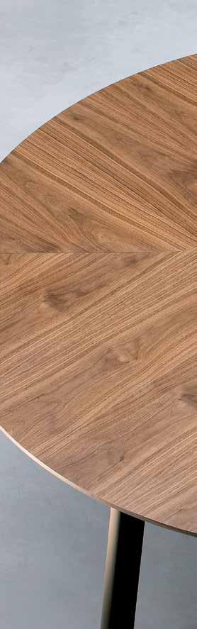 Balma Katalog / Catalogue Cechy kolekcji Features and characteristics System wyróżnia się niezwykłą prostotą w formie i konstrukcji, uniwersalnością oraz elastycznością zastosowań.