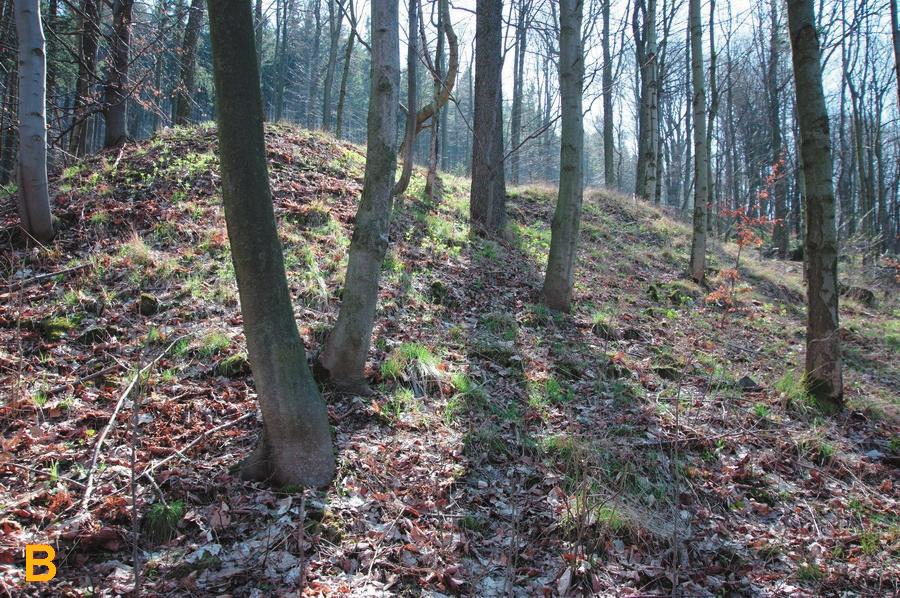 90 Robert Borzęcki, Dariusz Wójcik wówczas numer 3 (Geologicieskaja..., 1954). W 1994 roku sztolnia była niedrożna (Sztuk i in., 1994).