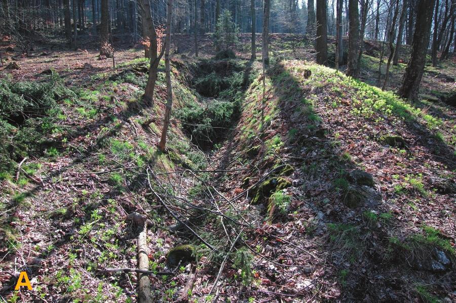 Wśród zalegającego na niej urobku skalnego występują głównie gnejsy. Spotyka się również minerały żyłowe (kwarc).