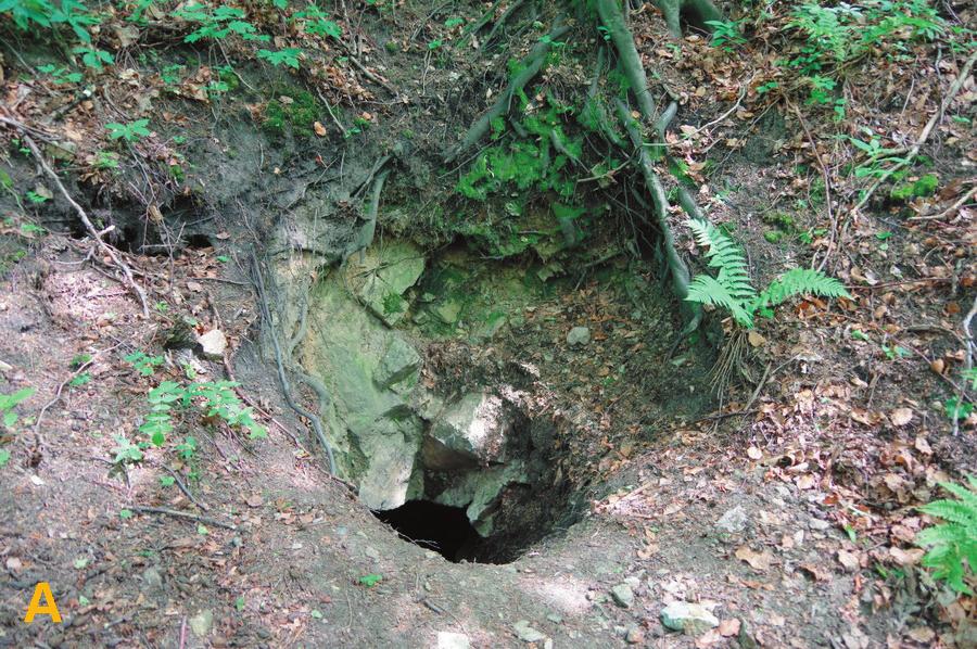 Pozostałości górnictwa rud uranu i żelaza w rejonie Kowar. Część I 91 mały przekrój oraz widoczne na ociosach ślady ręcznego urabiania skały świadczą, że ma kilkusetletnią genezę.