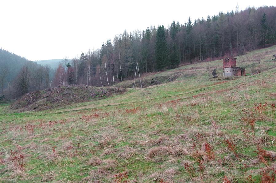 Pozostałości górnictwa rud uranu i żelaza w rejonie Kowar. Część I 103 Ryc. 17. Pozostałości hałdy szybu nr 1 według stanu z 9.04.2017 r. (fot. D. Wójcik) Fig. 17. Remains of the tailing adjacent to Shaft No.