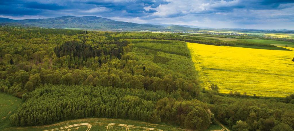 2 Prudnik leży w południowej części województwa opolskiego, niedaleko granicy z Czechami, u podnóży Gór Opawskich.