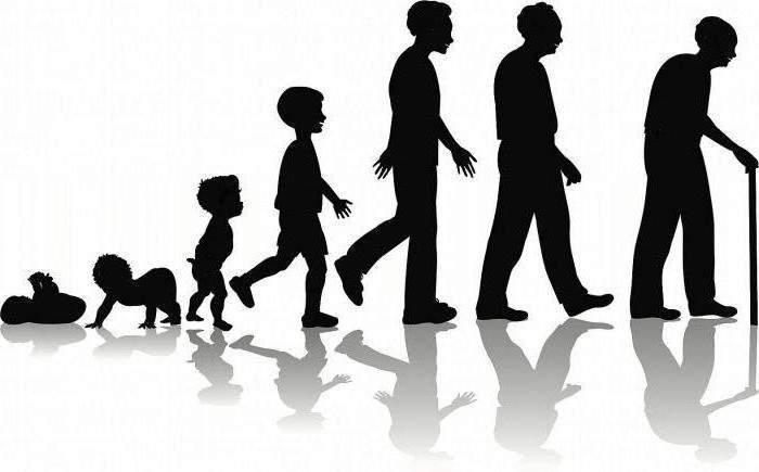 Nasze badania Zakład Biologii Rozwoju Człowieka Biologiczne i środowiskowe uwarunkowania rozwoju osobniczego człowieka