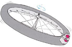 Natomiast, gdy wirujące koło spada swobodnie, znajdująca się w oponie biedronka doznaje działania Siły odśrodkowej, która- przy