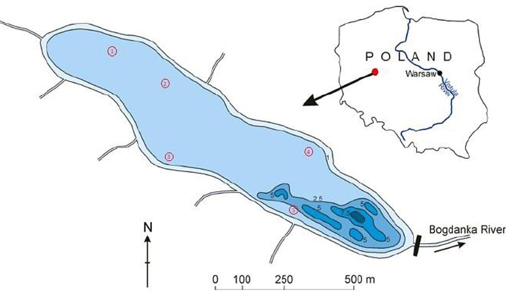 Rys. 2. Plan Jeziora Rusałka z wyznaczonymi punktami pomiarowymi parametrów wody Fig. 2. Plan of Lake Rusałka with designated measuring points for water parameters Rys. 3.