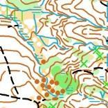 2017 (poniedziałek) - BIEG ŚREDNIODYSTANSOWY mapa Łysa Góra skala 1:10 000 lub 1:7 500, e- 5 m, autor : Piotr Pietroń