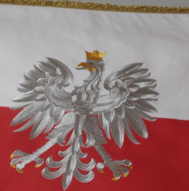 Głowica, wykonana z żółtego metalu, składa się godła Rzeczypospolitej Polskiej, w którym wizerunek orła umieszczony jest na podstawie w formie puszki oraz tulei mocującej głowicę do drzewca.