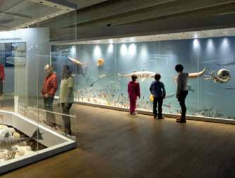 12 świętokrzyskie Centrum Geoedukacji w Kielcach Centrum Geoedukacji to miejsce, w którym można zobaczyć rekonstrukcję dna dewońskiego morza z niezwykłymi organizmami, które je zamieszkiwały, spotkać