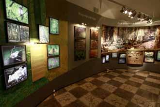 4 świętokrzyskie Muzeum Przyrodnicze na Świętym Krzyżu Muzeum mieści się w budynku należącym do kompleksu zabudowań klasztornych, w których obejrzeć można wyjątkową, multimedialną wystawę