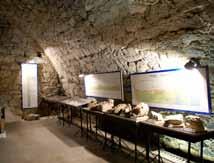 Na szczególną uwagę zasługuje grób szkieletowy z wczesnego średniowiecza. Pozostałe wystawy przedstawiają m.in.
