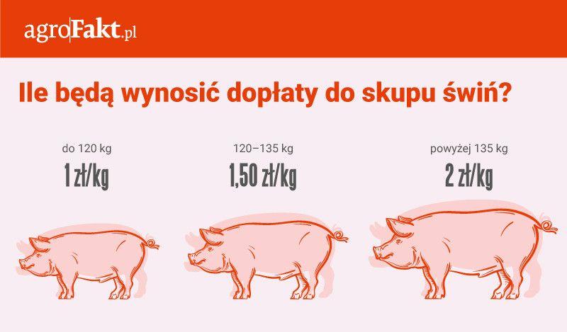 .pl https://www..pl powinno być, aby zabezpieczyli swoje gospodarstwa, jeśli hodowlę chcą nadal prowadzić. Jacek Bogucki, wiceminister rolnictwa Nie tylko bioasekuracja!