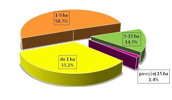 W strukturze własności dominują gospodarstwa indywidualne (w 2010 r. na 1 744 gospodarstwa wszystkie należały do osób indywidualnych). Prawie 67% z nich to gospodarstwa powyżej 1ha.