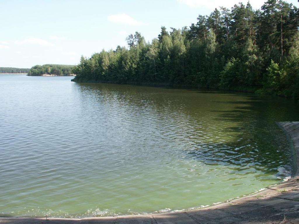 4.4. Zlewnia Zbiornika wodnego Maziarnia w Wilczej Woli Zbiornik wodny Maziarnia utworzony został na rzece Łęg. Położony jest na obszarze gmin: Dzikowiec i Raniżów, powiat kolbuszowski.