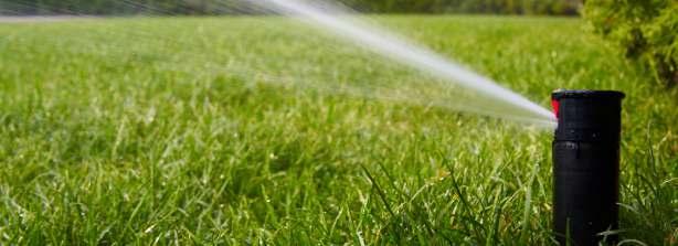 Nawadnianie Aby trawnik szybko i dobrze wykiełkował niezbędne jest zraszanie, które wykonujemy tak często, aby wierzchnia warstwa podłoża nie przesychała (na około 1cm głębokości).