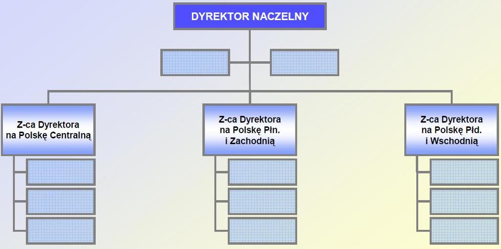 Dywizjonalizacja (wg rynku geograficznego)