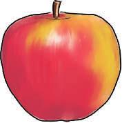 . W sadzie i ogrodzie. Połącz jabłka od najmniejszego do największego.