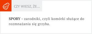 ogona. Koliste, wypukłe, biało-szare plamy, z nastroszonymi włosami lub pozbawione włosów są typowym objawem choroby. Nalot na skórze przypomina popiół.