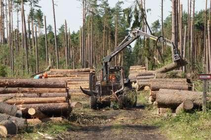 Uprzątanie powierzchni poklęskowej Plan uprzątnięcia do końca 2018 r., N.