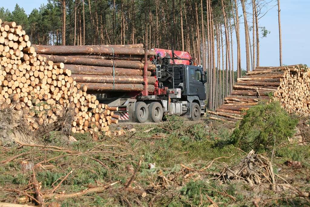 Wywóz surowca