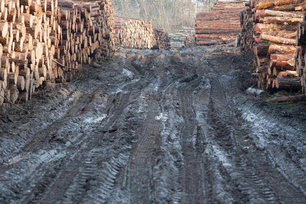 Problemy: utrzymanie przejezdności