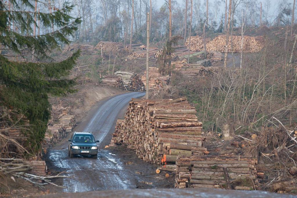 Wyzwania: bieżące naprawy i modernizacja dróg