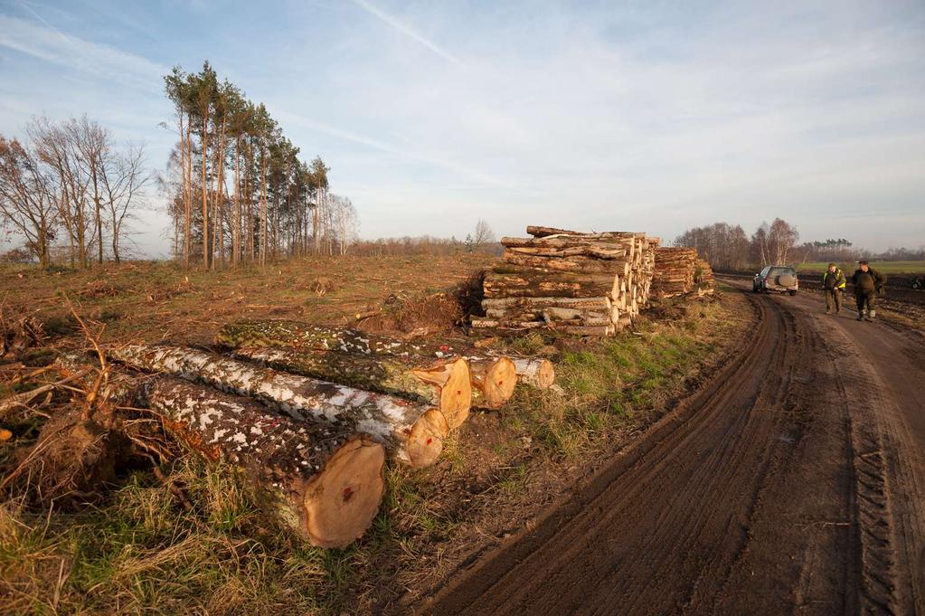 Wyzwania: zachowanie i maksymalne wykorzystanie