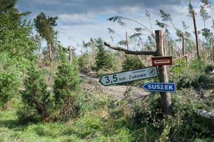 Straty na terenie RDLP Poszkodowani harcerze (śmierć 2 osób, 22