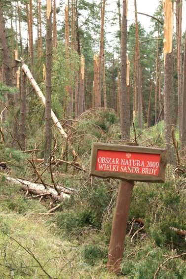 Straty przyrodnicze Uszkodzone lub zniszczone formy ochrony przyrody, w tym: rezerwaty obszary sieci Natura 2000 pomniki przyrody siedliska roślin i zwierząt strefy rozrodu i gniazda rzadkich ptaków