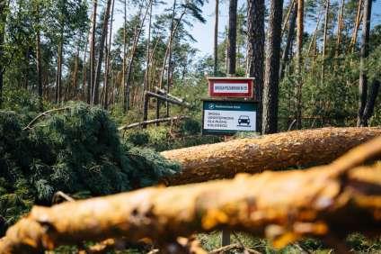 Priorytety w pierwszych trzech tygodniach po klęsce
