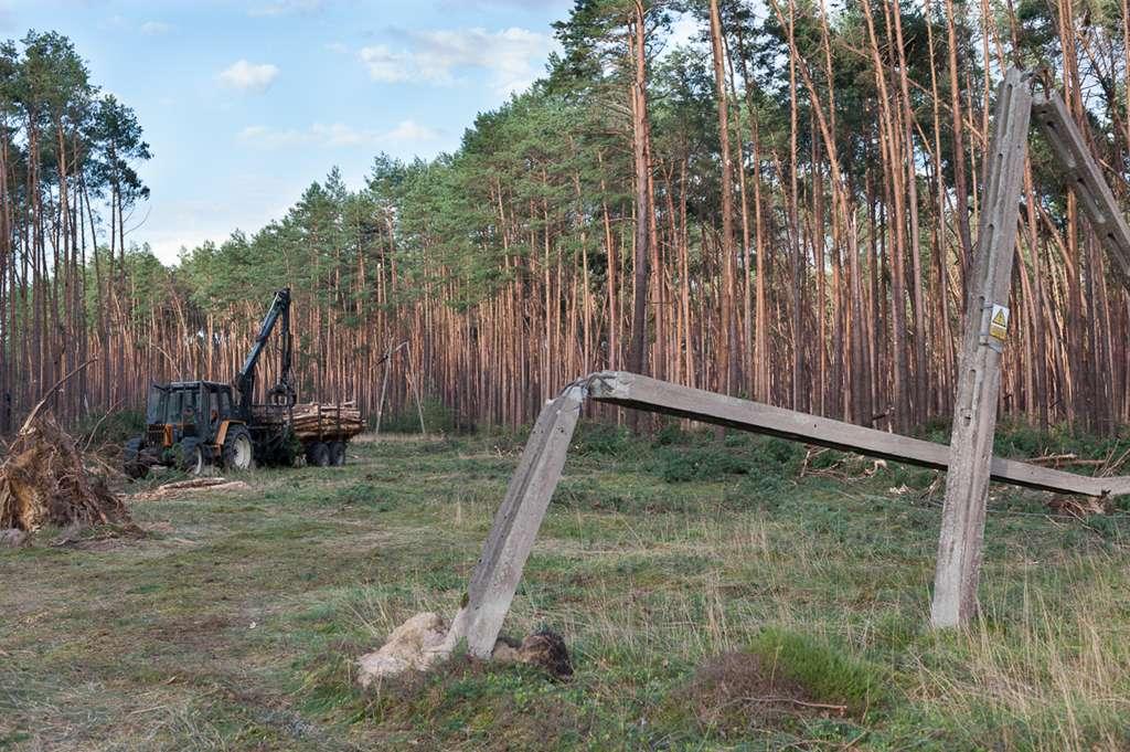 Porządkowanie terenu pod liniami